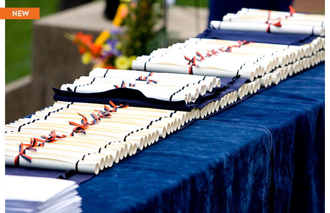 Which majors are hotter than others, going back 20-plus years