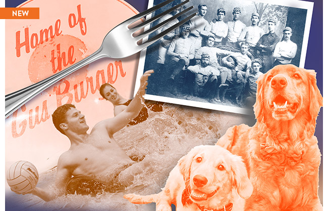 Our summer list of UVA fun facts.